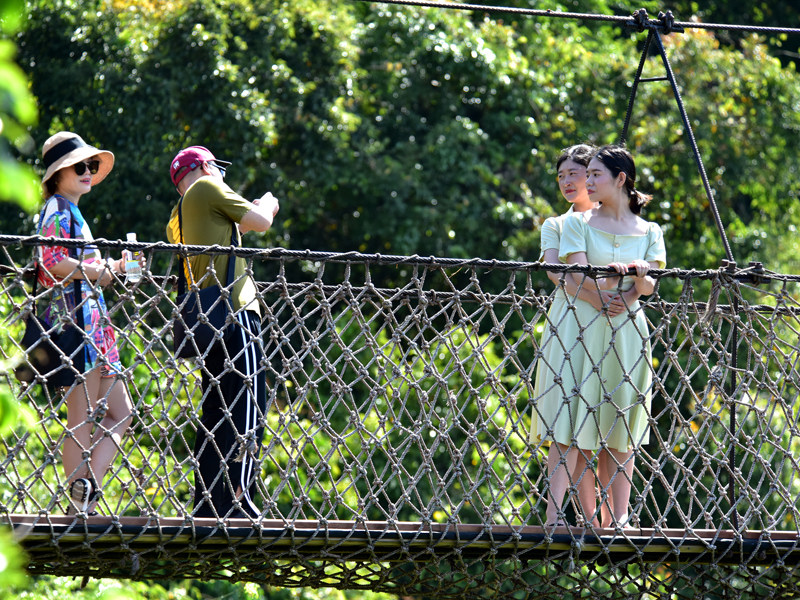 微信圖片_20200506093953 微信圖片_20200506093953