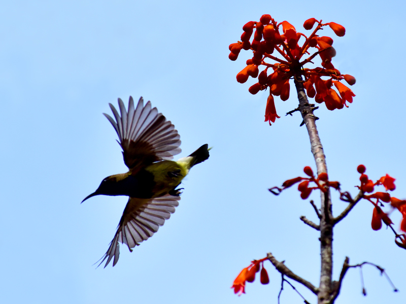 微信圖片_20200507182017 微信圖片_20200507182017