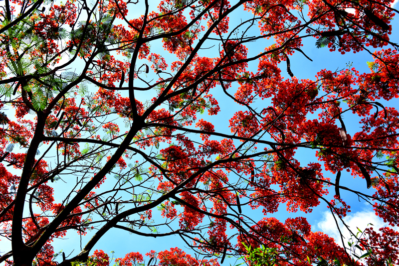 微信圖片_20200609181905 微信圖片_20200609181905