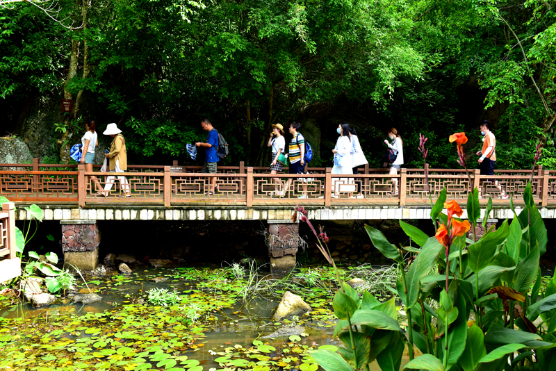 微信圖片_20200711100328 微信圖片_20200711100328