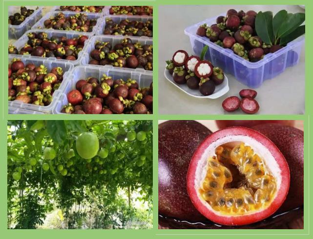 微信截圖_20200805101523