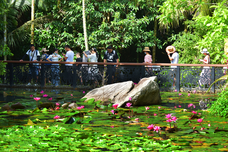 微信圖片_20200820102602 微信圖片_20200820102602