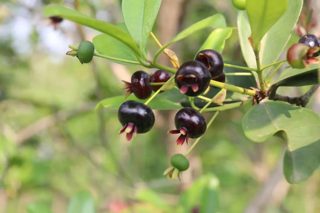 微信圖片_20200922182108