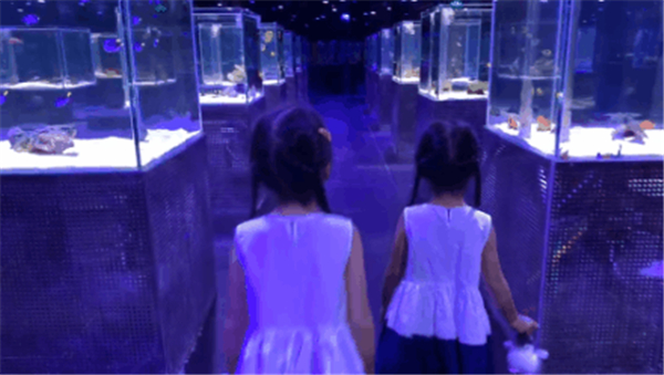 微信圖片_20200926151807 微信圖片_20200926151807