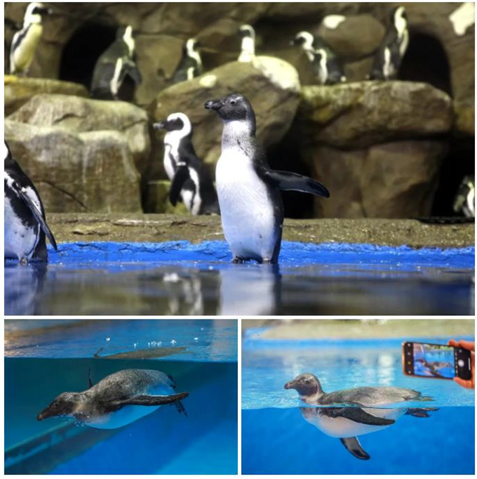 微信截圖_20200930184033