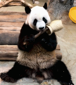 微信圖片_20200930093154