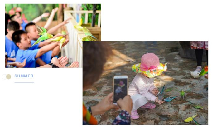 微信截圖_20200930184010