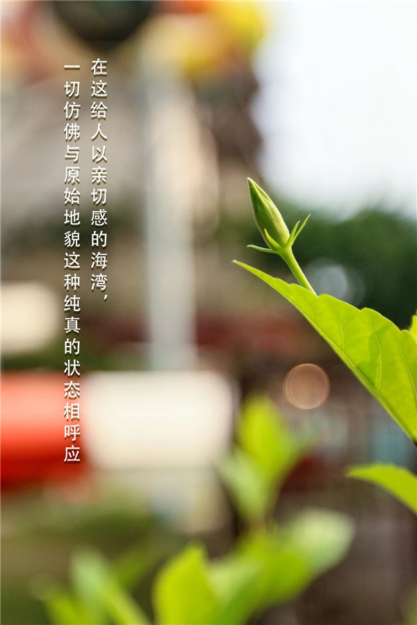 微信圖片_20200930133725