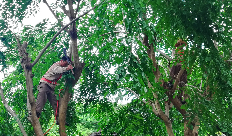 微信圖片_20201013162411 微信圖片_20201013162411