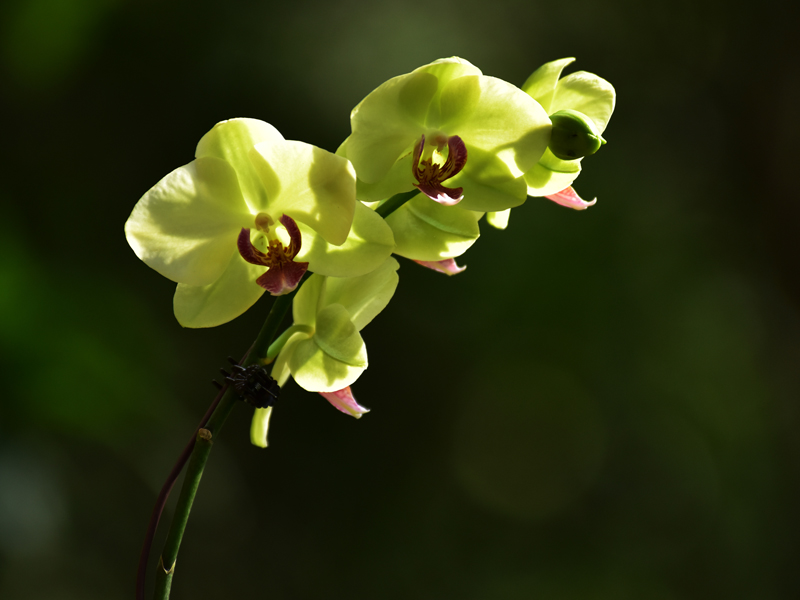 微信圖片_20201212100653