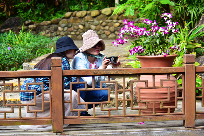 微信圖片_20201212100515