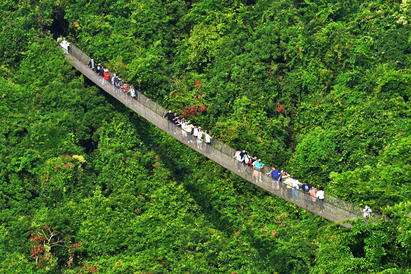 微信圖片_20210102114716 微信圖片_20210102114716