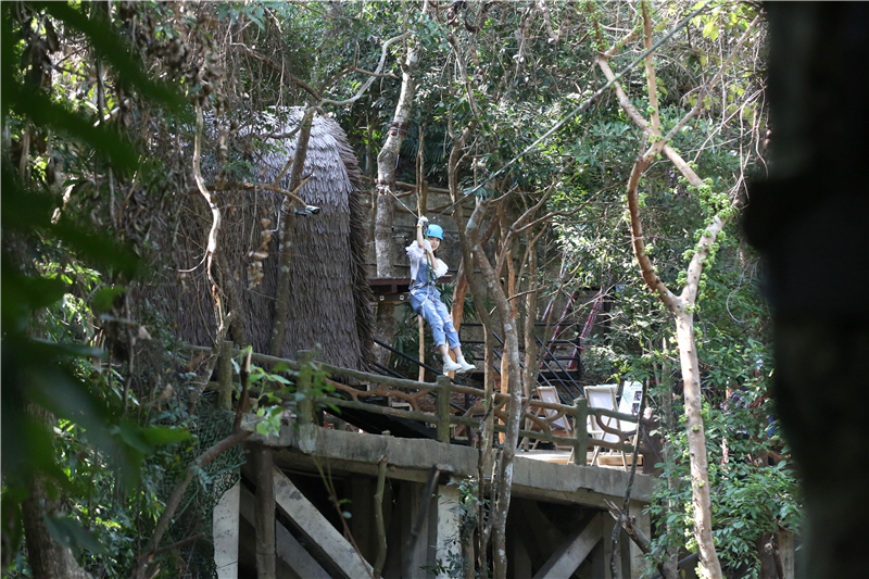 微信圖片_20210121094836 微信圖片_20210121094836