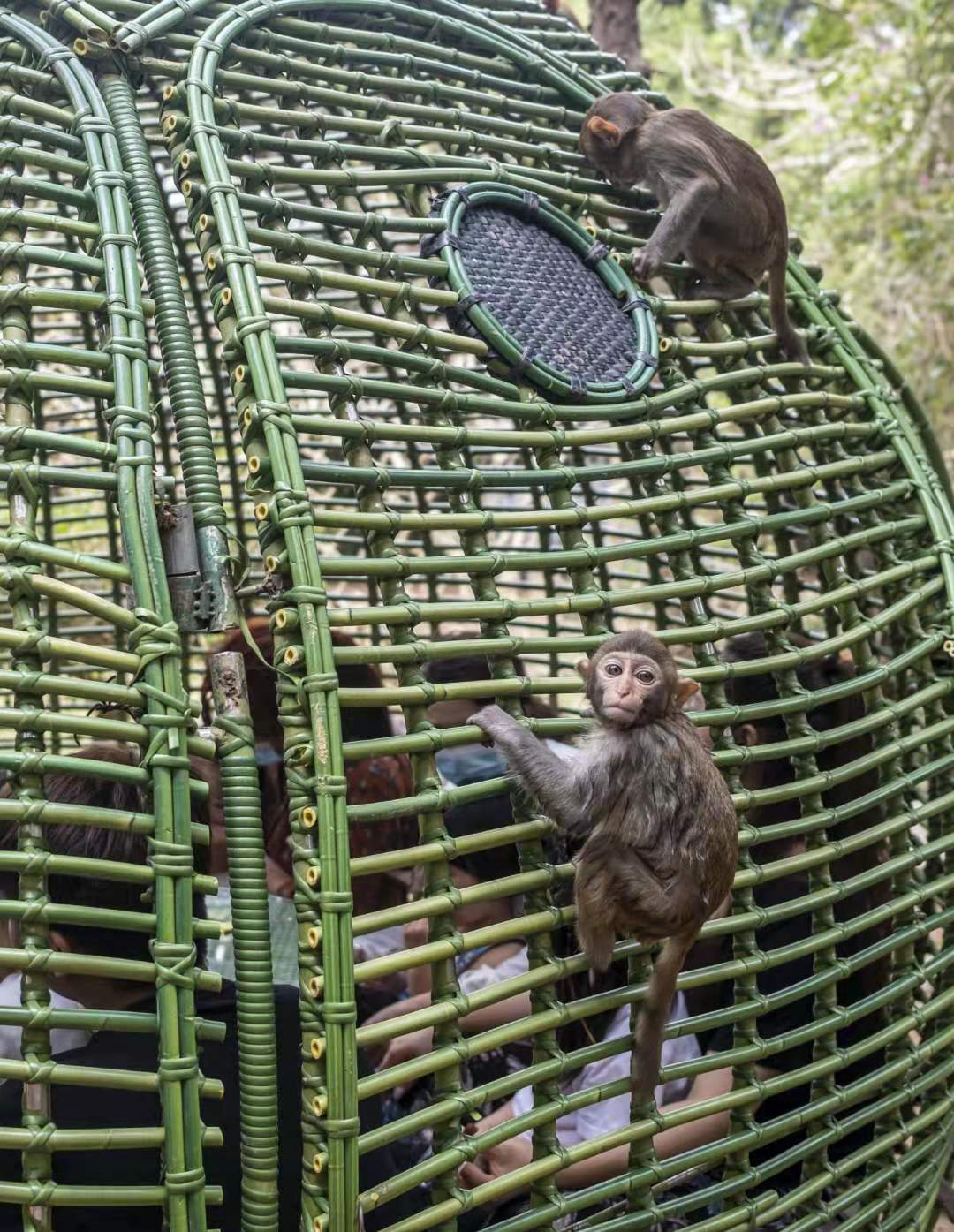 9c3bc1392e48af4fe00e55c41fcc39a 9c3bc1392e48af4fe00e55c41fcc39a