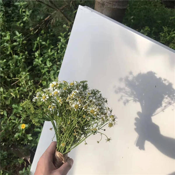 微信圖片_20210225104728 微信圖片_20210225104728