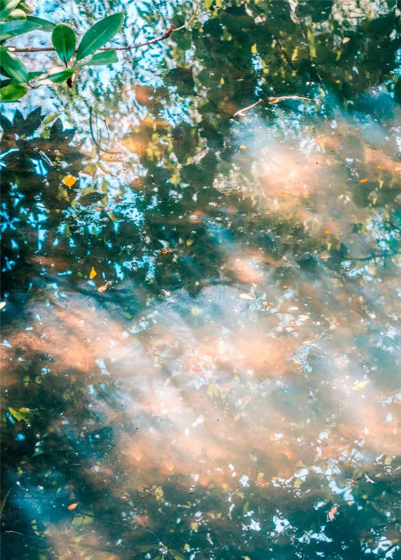 微信圖片_20210310150506 微信圖片_20210310150506