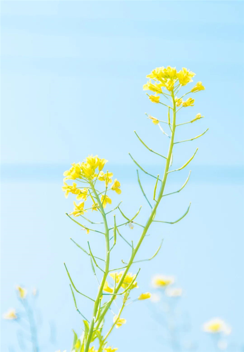 微信圖片_20210310150454 微信圖片_20210310150454