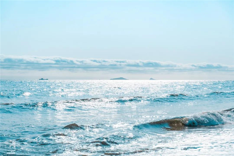 微信圖片_20210310150551 微信圖片_20210310150551