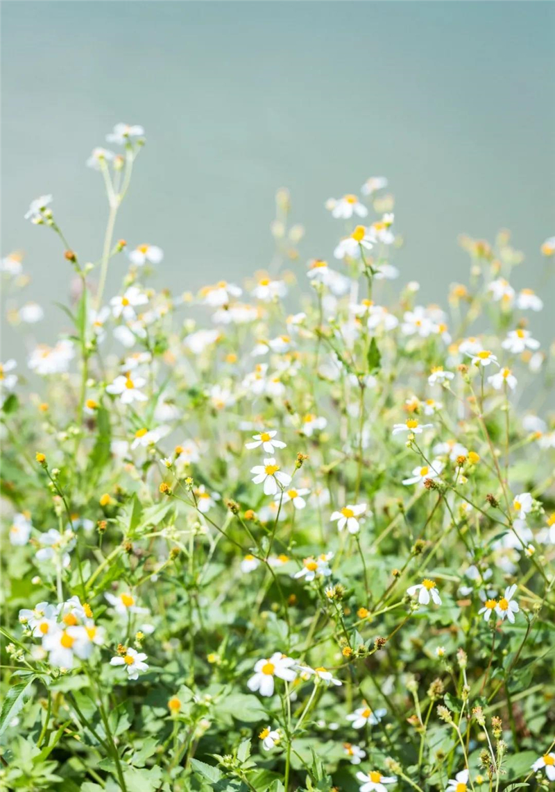 微信圖片_20210310150526 微信圖片_20210310150526