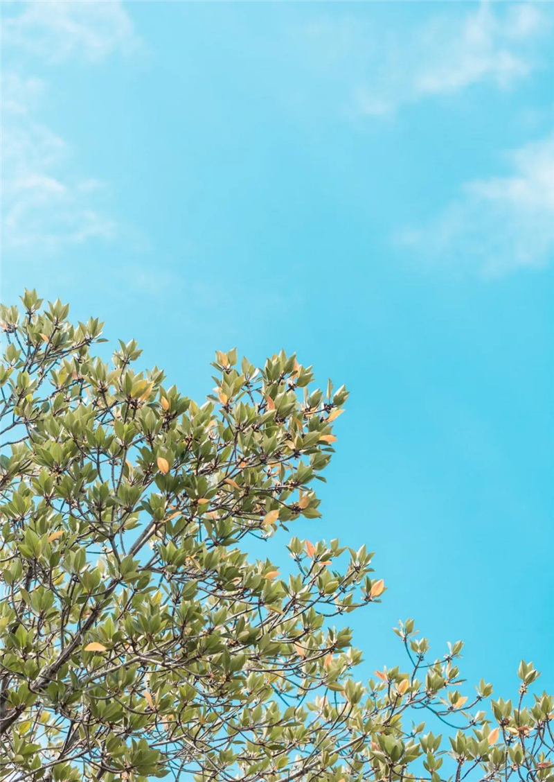 微信圖片_20210310150536 微信圖片_20210310150536