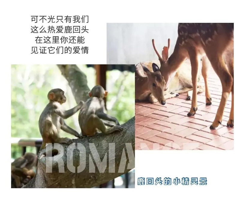 微信圖片_20210324093527