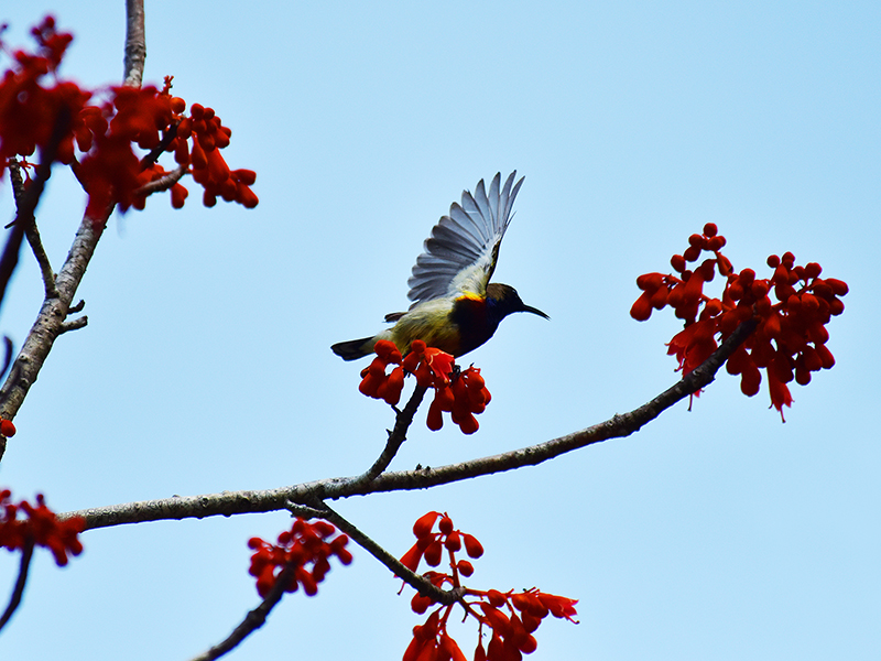 微信圖片_20210427112604 微信圖片_20210427112604