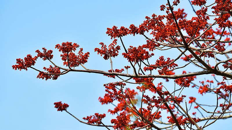 微信圖片_20210427112507 微信圖片_20210427112507