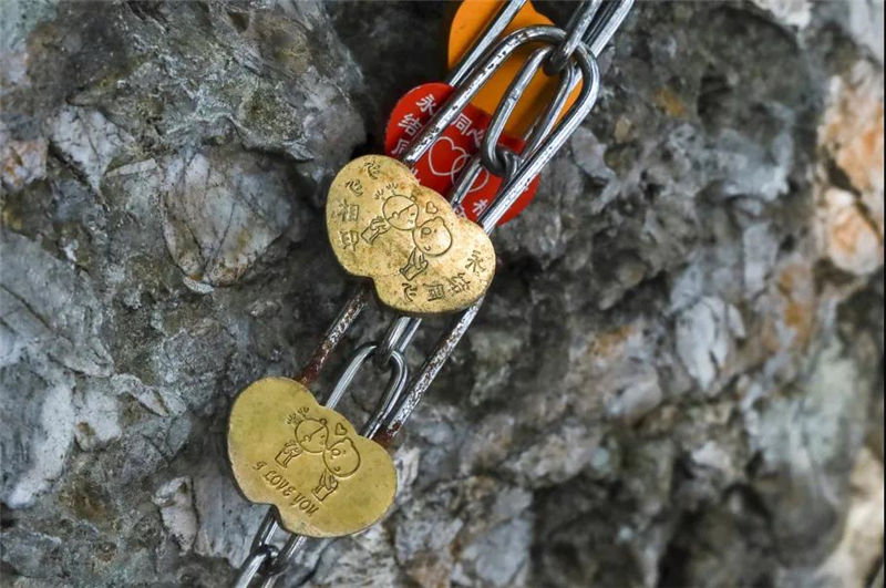 微信圖片_20210513152438 微信圖片_20210513152438