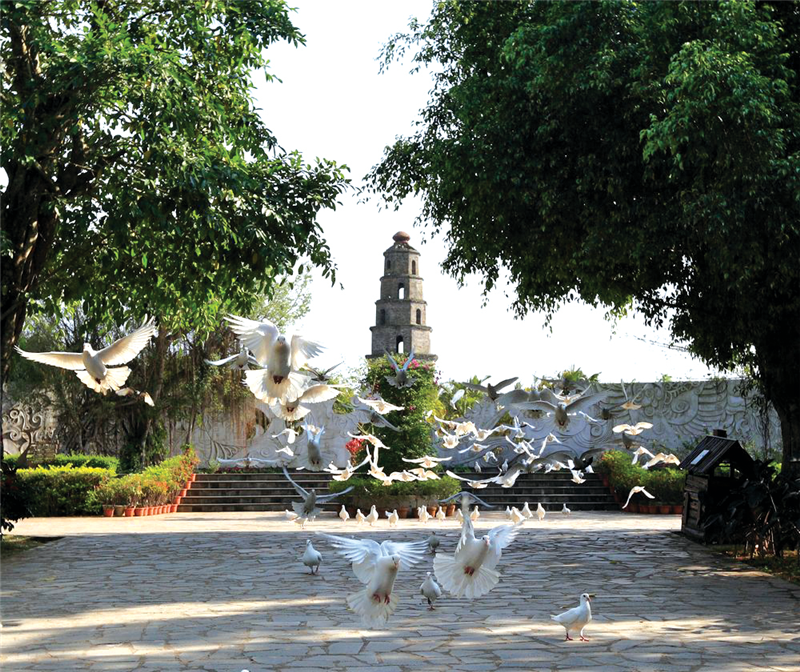 微信圖片_20210517094646 微信圖片_20210517094646