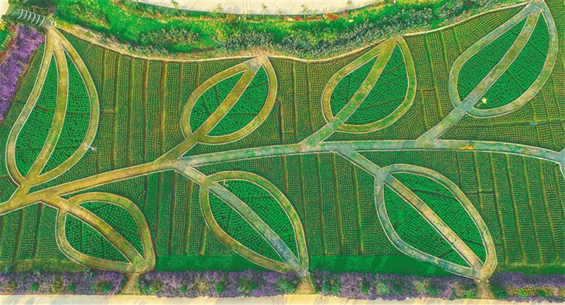 微信圖片_20210517094639 微信圖片_20210517094639