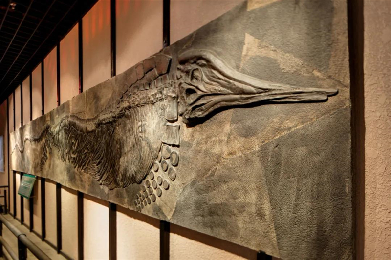 微信圖片_20210525155240 微信圖片_20210525155240