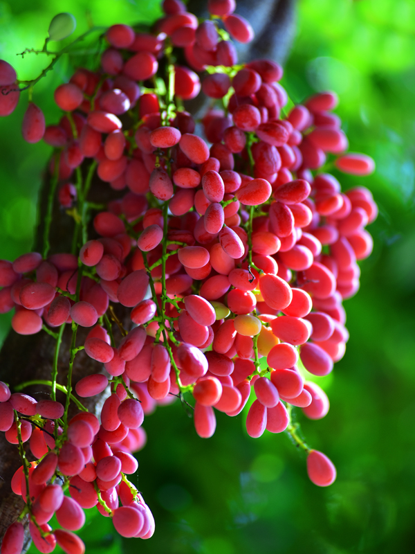 微信圖片_20210622164145 微信圖片_20210622164145