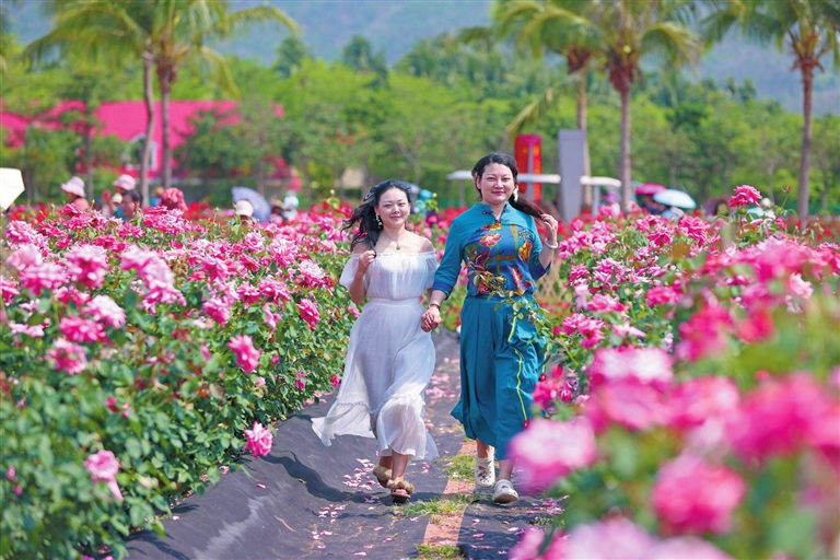 0816003_002_01_s 0816003_002_01_s