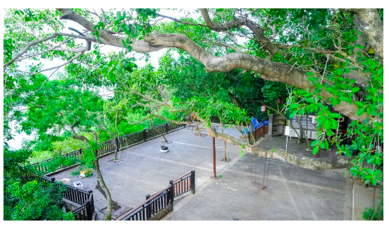 微信截圖_20210819085512 微信截圖_20210819085512