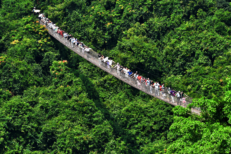 微信圖片_20211223155100 微信圖片_20211223155100