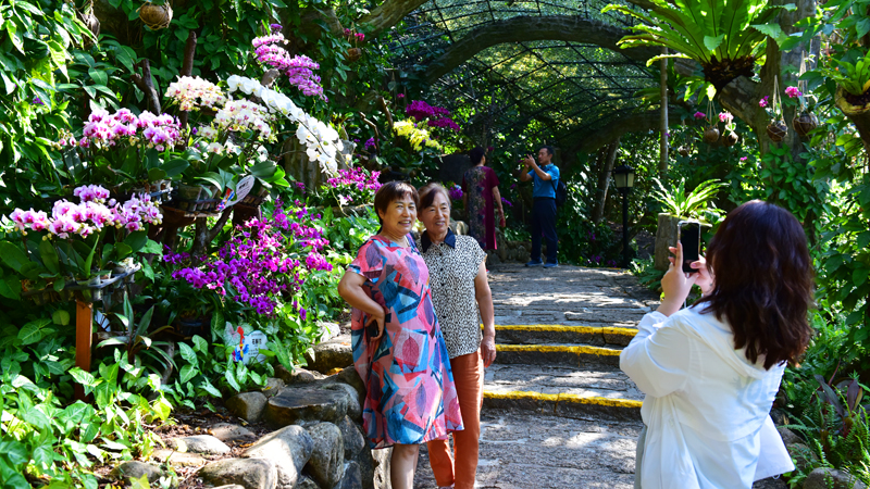 微信圖片_20220113105200 微信圖片_20220113105200