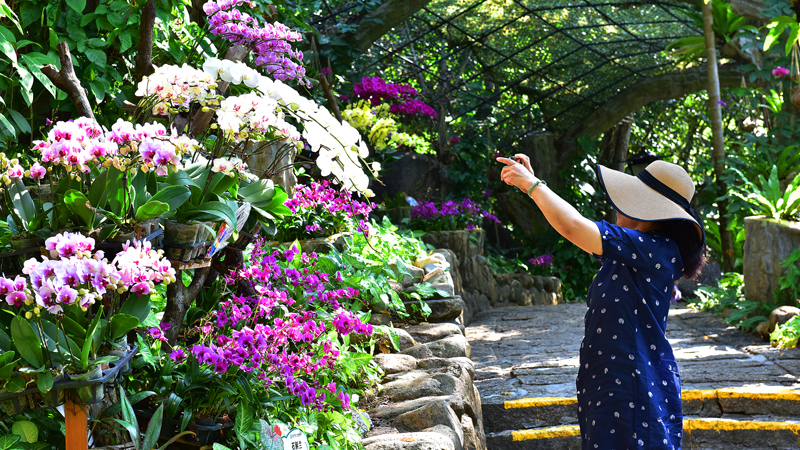 微信圖片_20220113105139 微信圖片_20220113105139