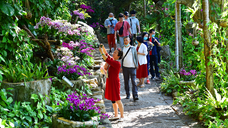 微信圖片_20220113105120 微信圖片_20220113105120