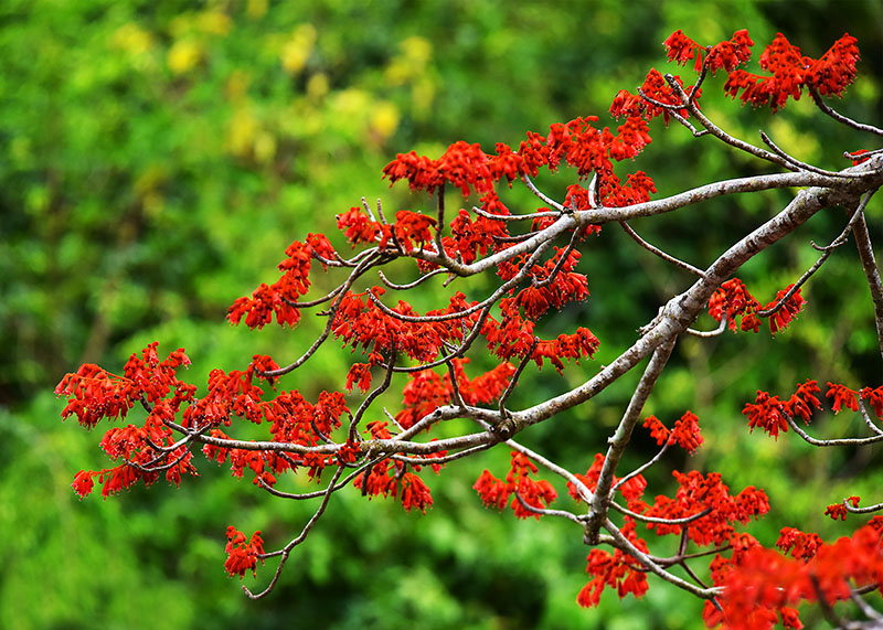 微信圖片_20220505172542