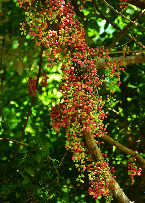 20230606154129_50461 20230606154129_50461