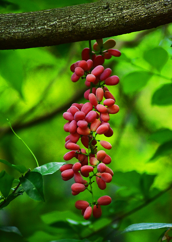 20230606154151_97493 20230606154151_97493