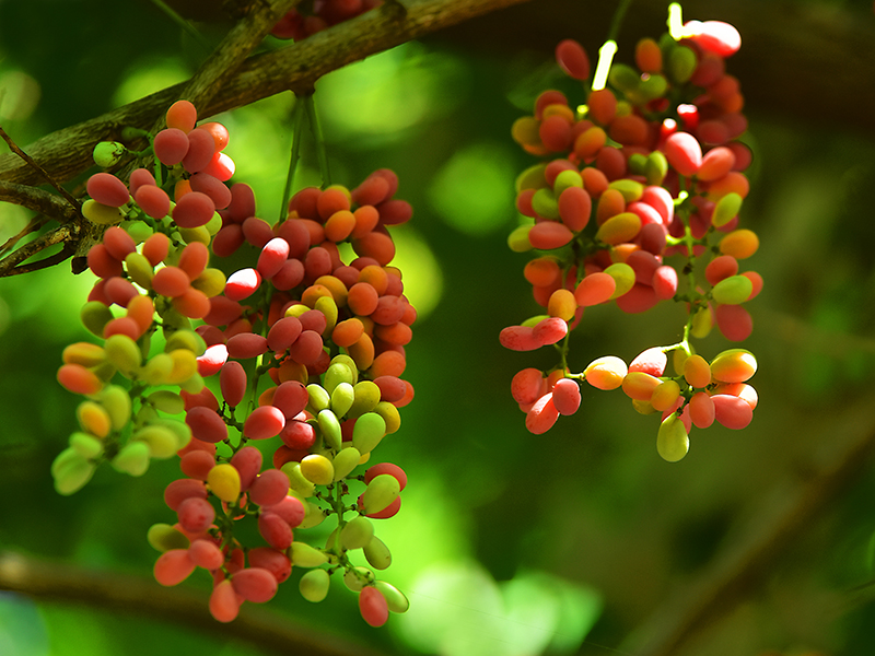 20230606153852_63862 20230606153852_63862