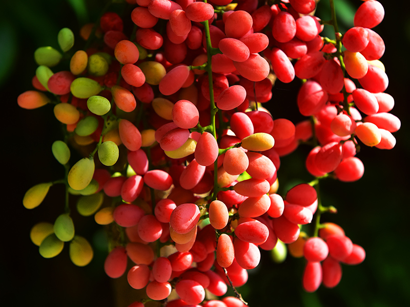 20230606153811_99540 20230606153811_99540