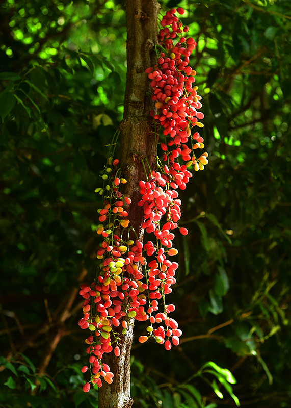 20230606154037_16281 20230606154037_16281