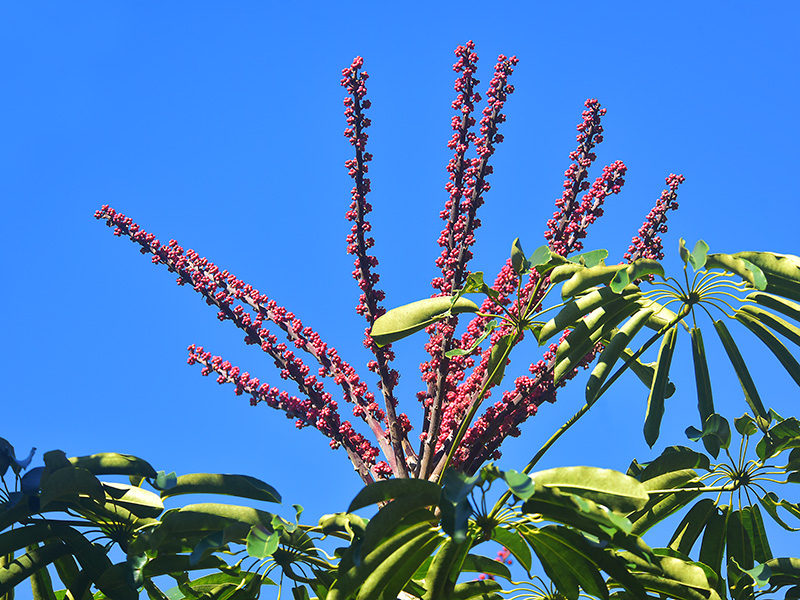 20230923154620_91678