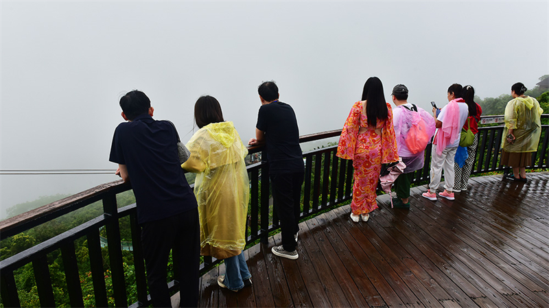 20231108223501_49196