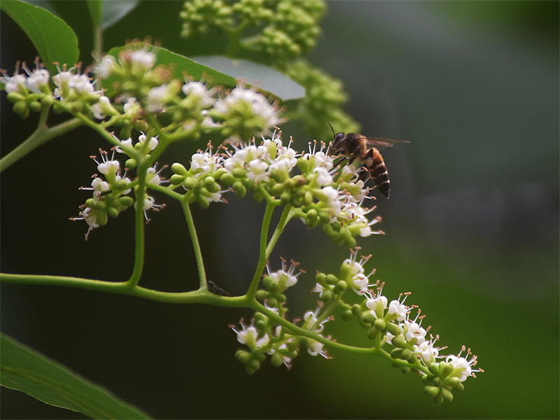 20231117100551_38069