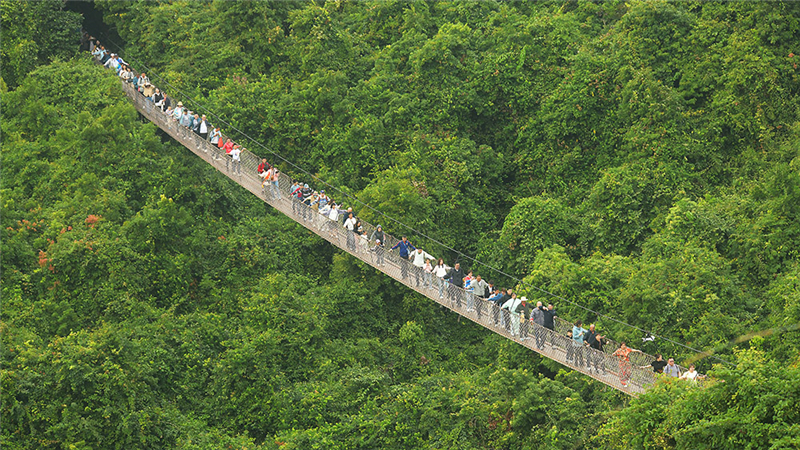 20240211232937_16332