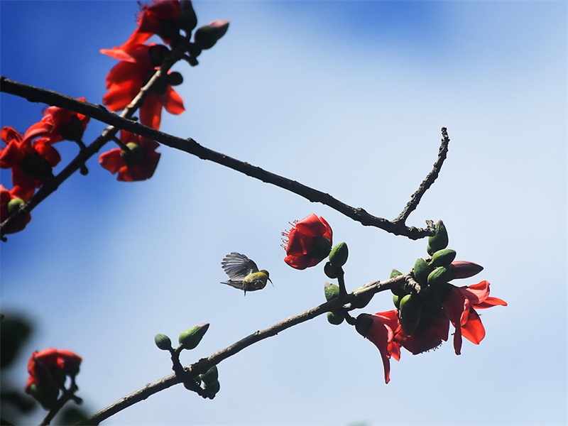 20240220171728_84247