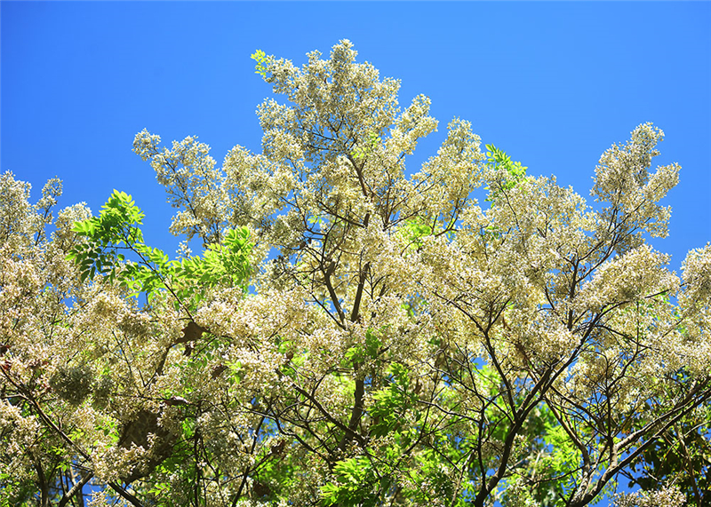 20240227171614_32817 20240227171614_32817